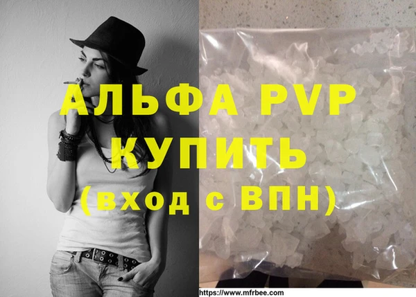 мдпв Каменка