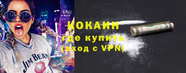 гидра Каменногорск