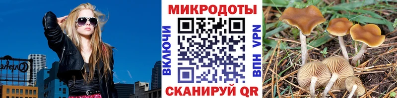 Псилоцибиновые грибы Psilocybe  Купить  Тайшет 